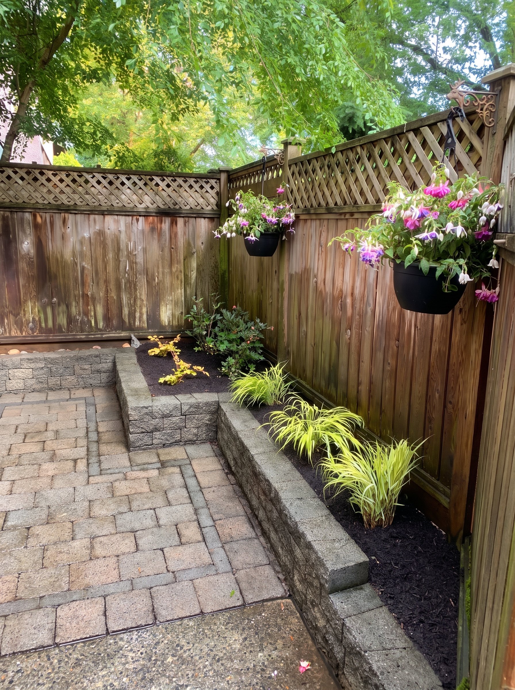 The same patio after: clean pavers, fresh mulch bed, new grasses and shrubs